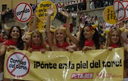 Encierro Humano 2005